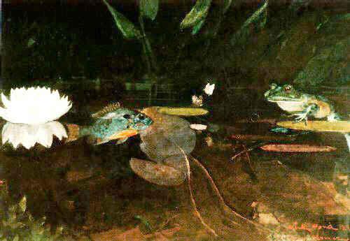 The Mink Pond, Winslow Homer